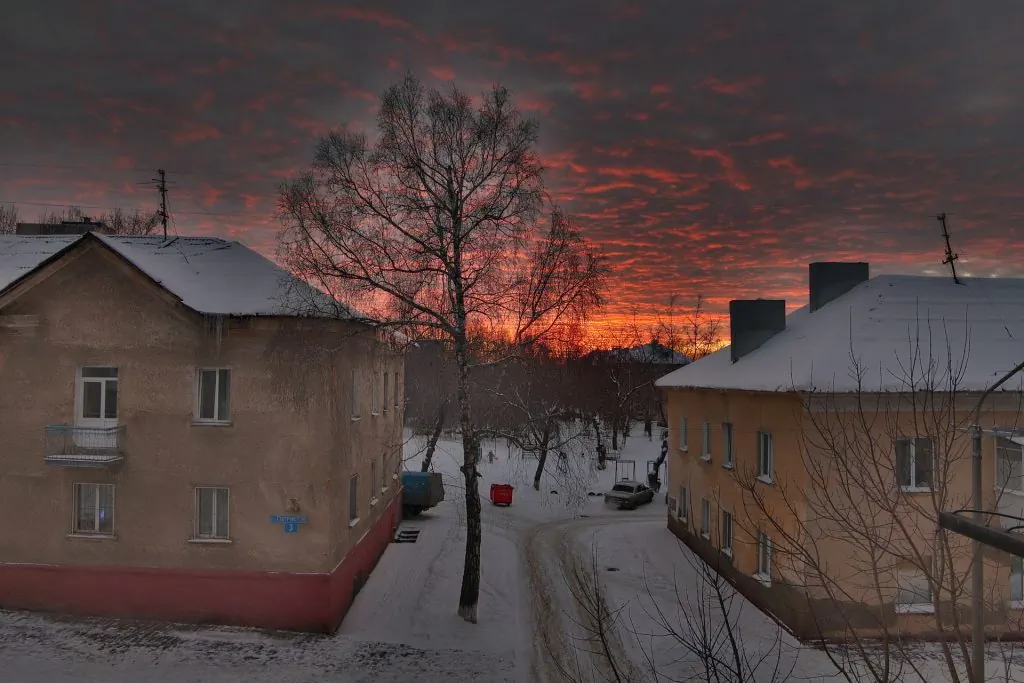 Берёза